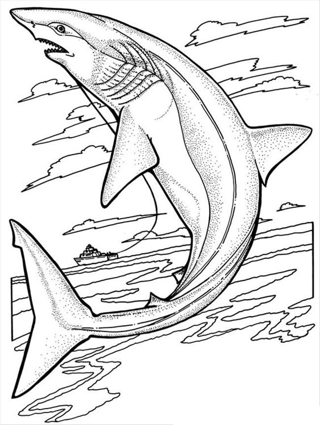 Bé khám phá thêm về thế giới động vật dưới biển qua bộ tranh tô màu con cá  mập