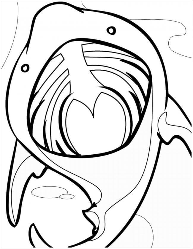 Tuyển tập tranh tô màu cá mập dưới biển sâu cho bé tập tô | Cá mập, Động  vật, Hình ảnh