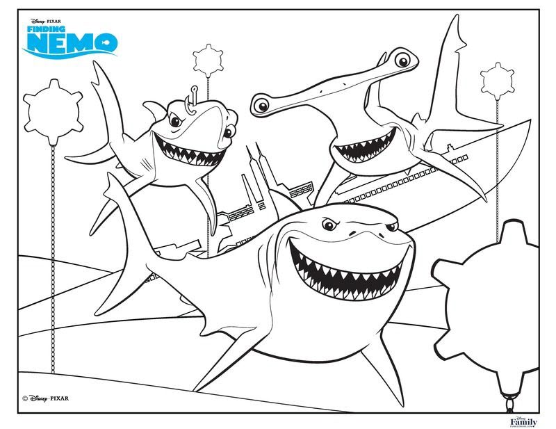 Vẽ và tô màu Cá Mập cho bé | Bé học tô màu | Glitter Shark Coloring Pages  For Kids - YouTube
