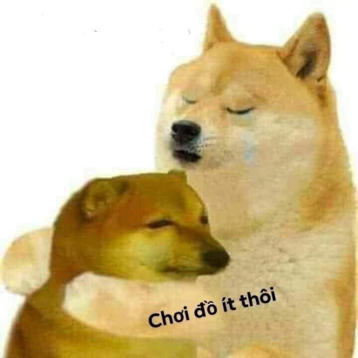 Meme Chó Cười: Hành Trình Đến Thiên Đàng Hài Hước