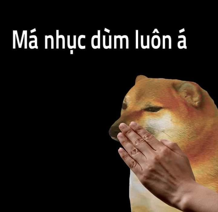 Meme Chó Cười: Hành Trình Đến Thiên Đàng Hài Hước