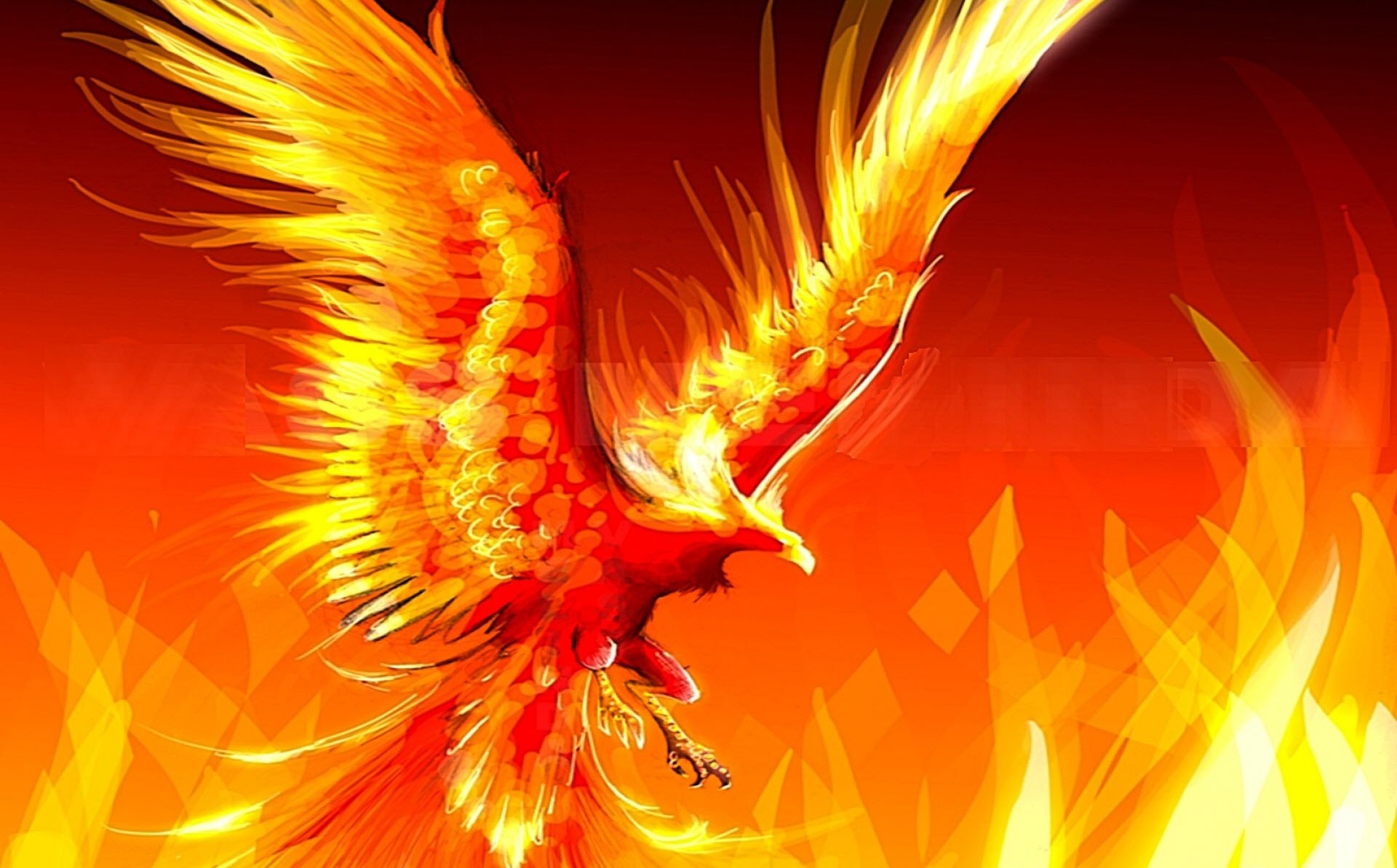 Hình nền : Bầu trời, ngọn lửa, chim ưng, Thần thoại, màu, 1920x1200 px  1920x1200 - wallpaperUp - 519603 - Hình nền đẹp hd - WallHere