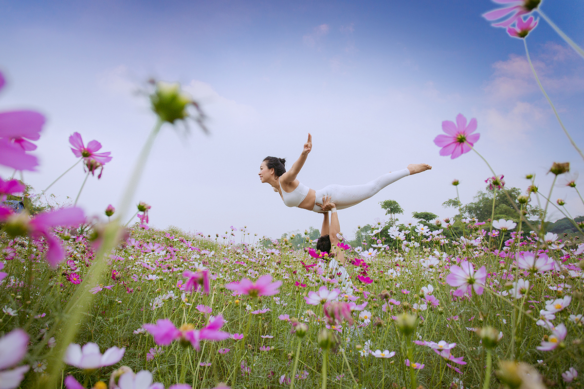 Bức tranh đẹp về Yoga