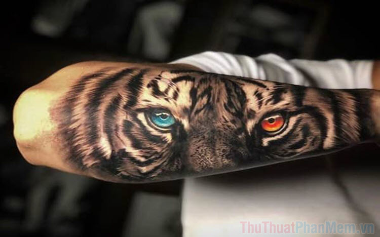 hinhxammanhhoxuongnui | Body art tattoos, Back tattoo women, Tiger tattoo  sleeve