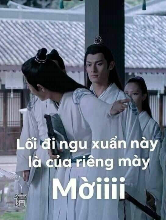 Bộ sưu tập meme ngu vui nhộn, độc đáo