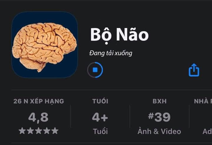 Bộ sưu tập meme ngu vui nhộn, độc đáo