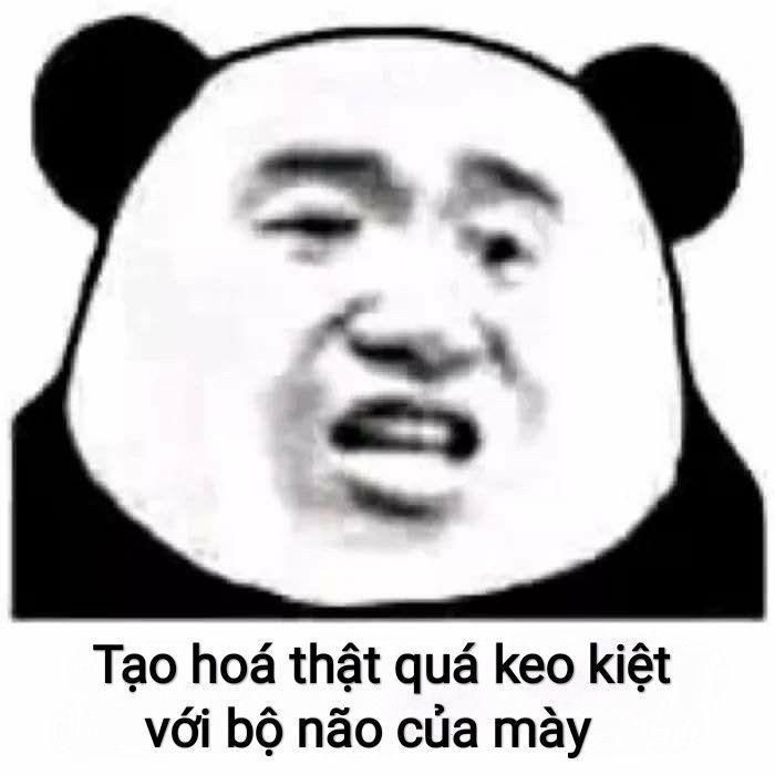 Bộ sưu tập meme ngu vui nhộn, độc đáo