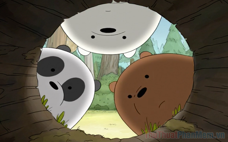 Hình nền gấu panda cute 😍mắt đen như... - HANG ĐỘNG HìNH NỀN | Facebook