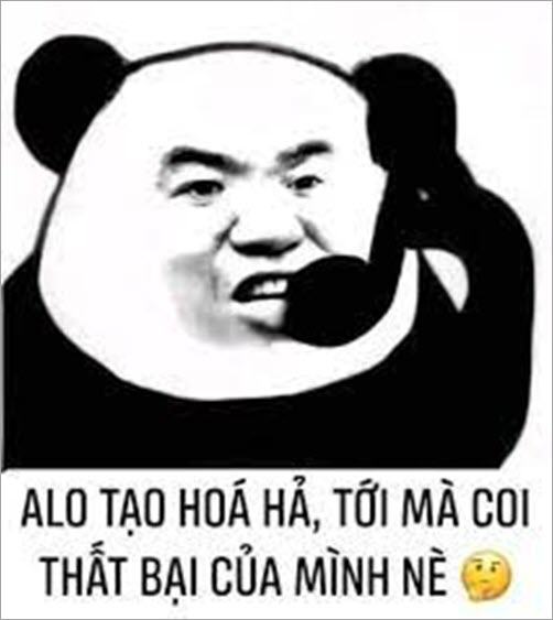 Bộ sưu tập meme ngu vui nhộn, độc đáo