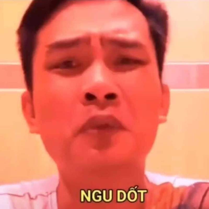 Bộ sưu tập meme ngu vui nhộn, độc đáo