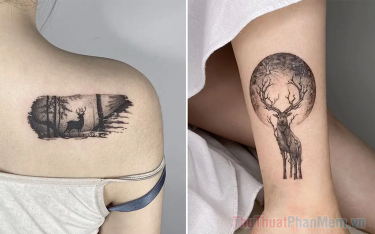 hình xăm hươu cho cặp đôi | Deer tattoo, Cute couple tattoos, Couple  tattoos unique