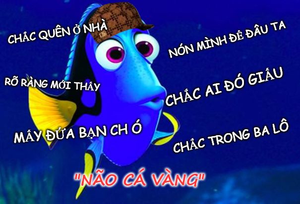 Bộ sưu tập meme ngu vui nhộn, độc đáo