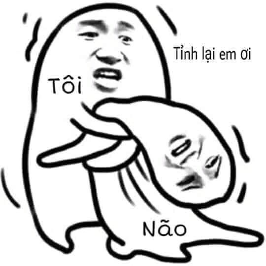 Bộ sưu tập meme ngu vui nhộn, độc đáo