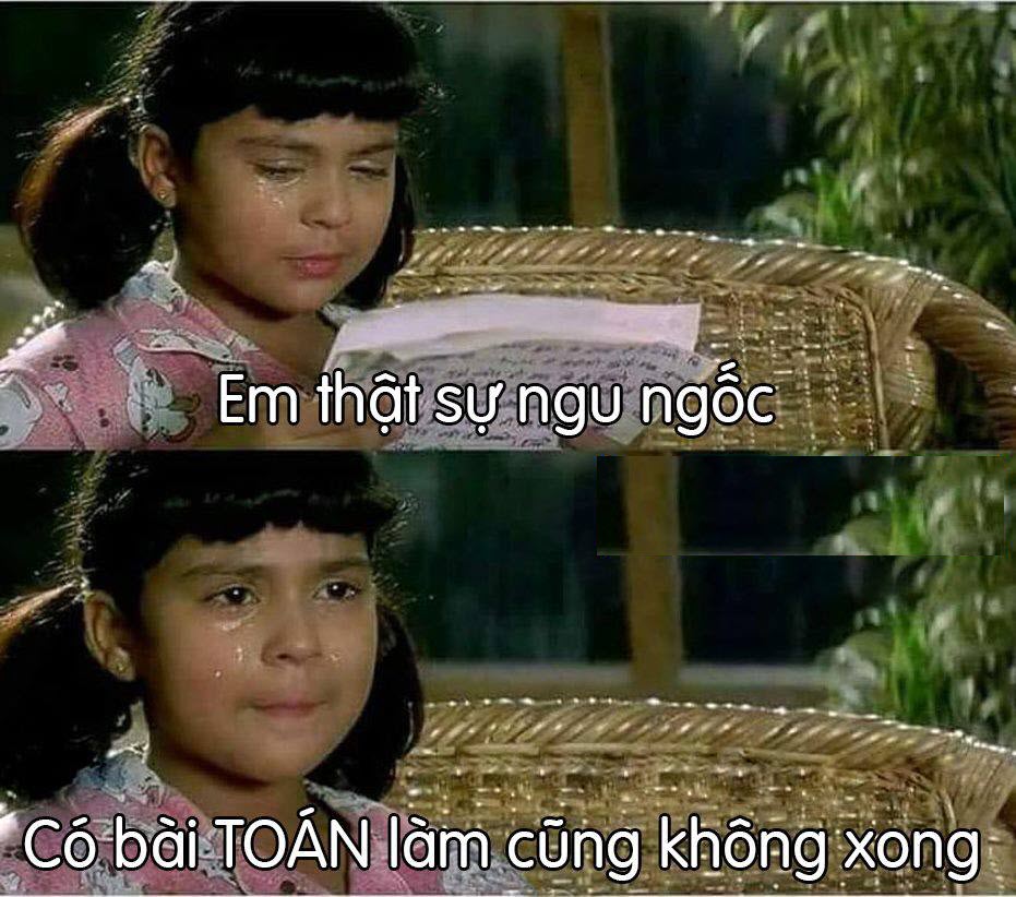 Bộ sưu tập meme ngu vui nhộn, độc đáo