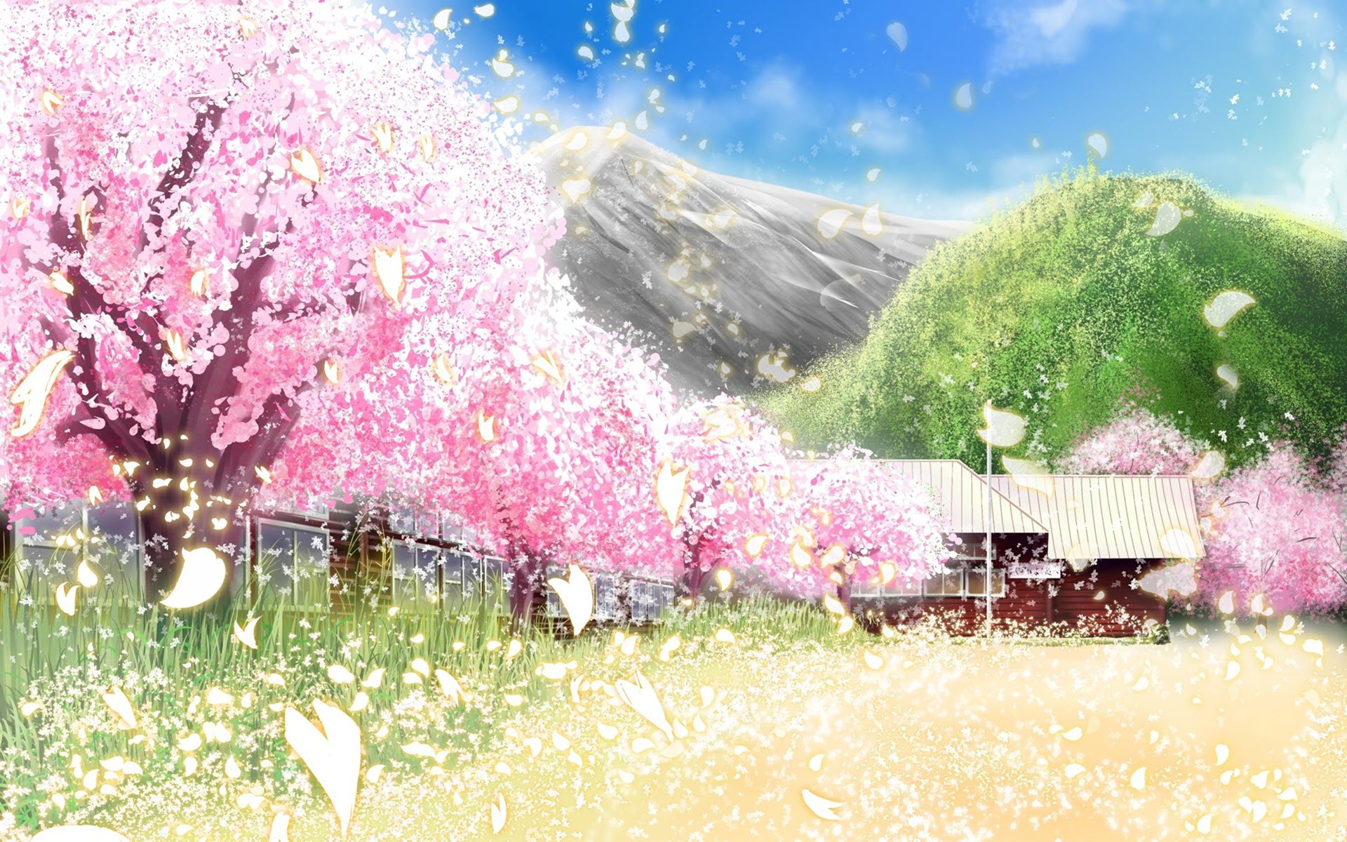 Đẹp mê ly hình ảnh hoa anh đào rơi anime trên nền tuyết trắng mơ màng
