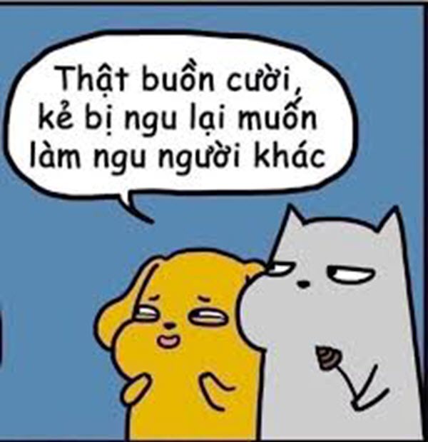 Bộ sưu tập meme ngu vui nhộn, độc đáo