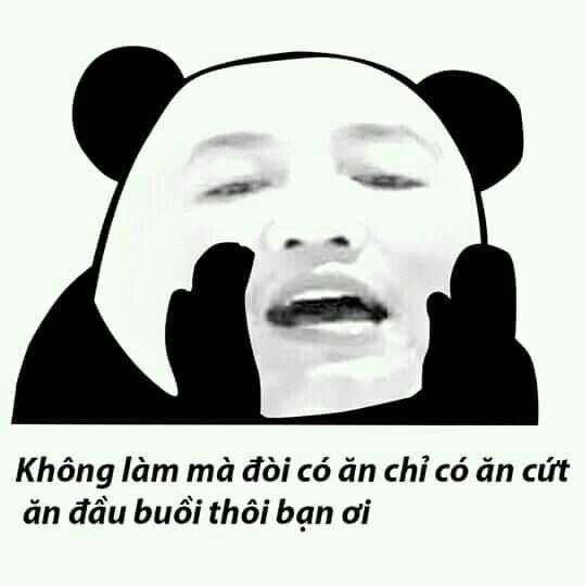 Bộ sưu tập meme ngu vui nhộn, độc đáo