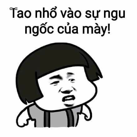 Bộ sưu tập meme ngu vui nhộn, độc đáo