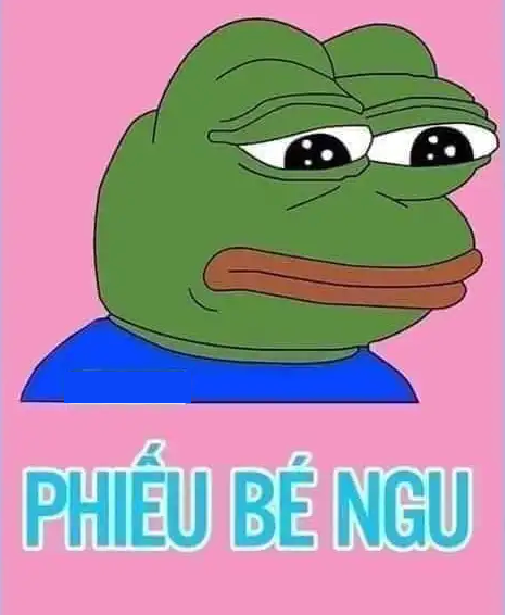 Bộ sưu tập meme ngu vui nhộn, độc đáo