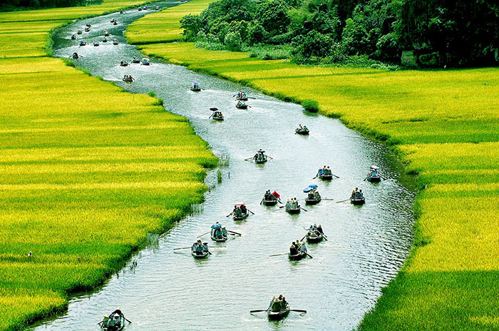 60 ảnh đẹp Việt Nam, ảnh phong cảnh đẹp nhất Việt Nam - Mỗi ngày một tri  thức mới - Web's Diệu Hiền