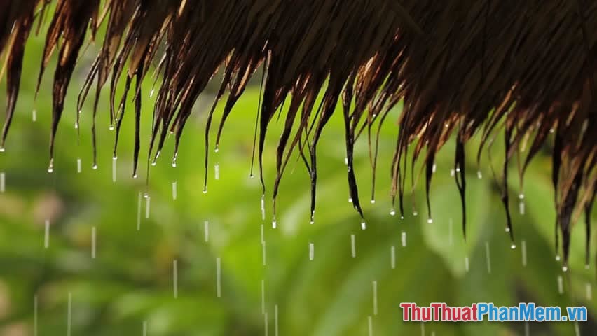 Câu stt hài hước về cơn mưa những điều dí dỏm về thời tiết