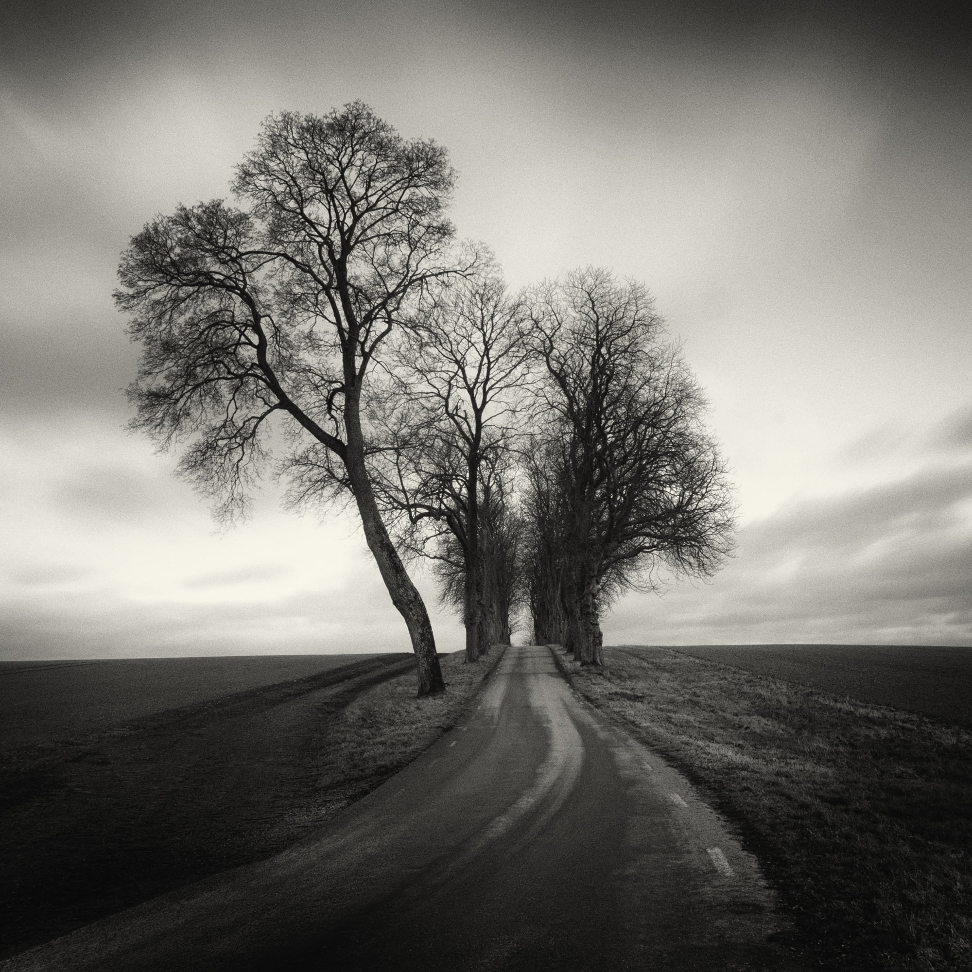 Màn hình tối buồn thấm thía