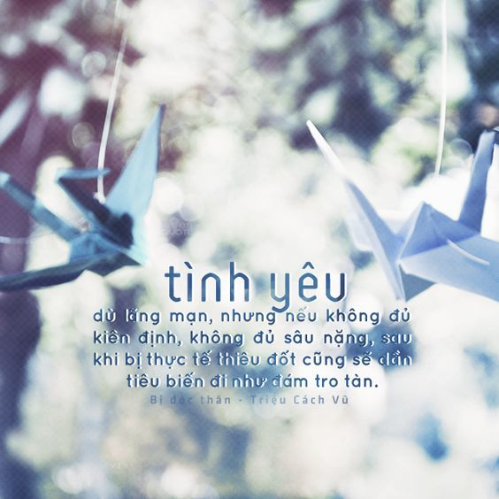 Hơn 100 hình ảnh quotes tinh tế và đẹp nhất