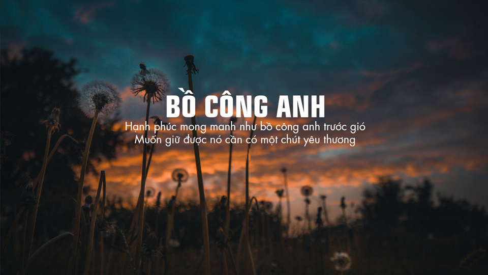 Hơn 100 hình ảnh quotes tinh tế và đẹp nhất