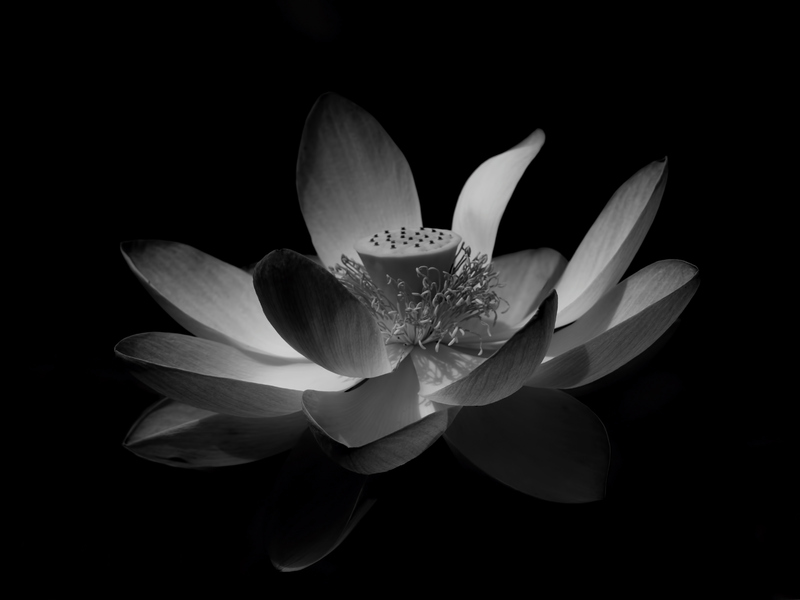 Màn hình tối buồn thấm thía