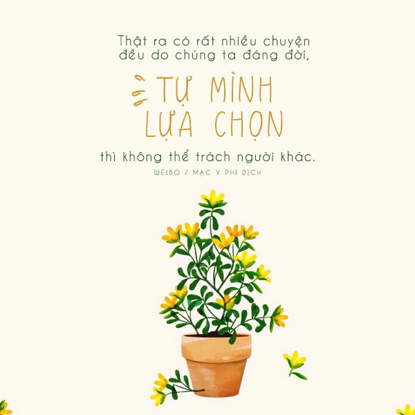 Hơn 100 hình ảnh quotes tinh tế và đẹp nhất