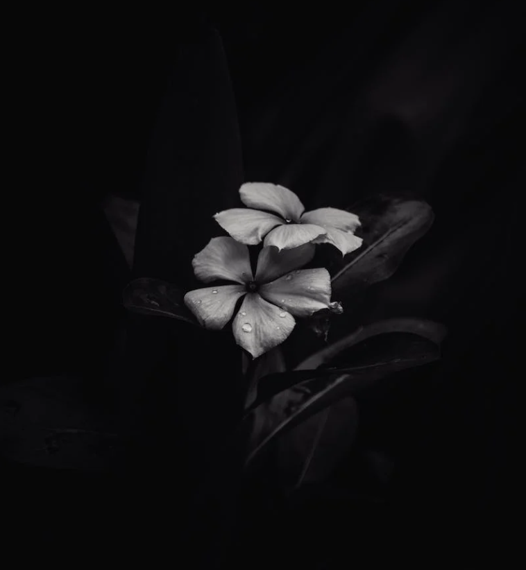 Màn hình tối buồn thấm thía