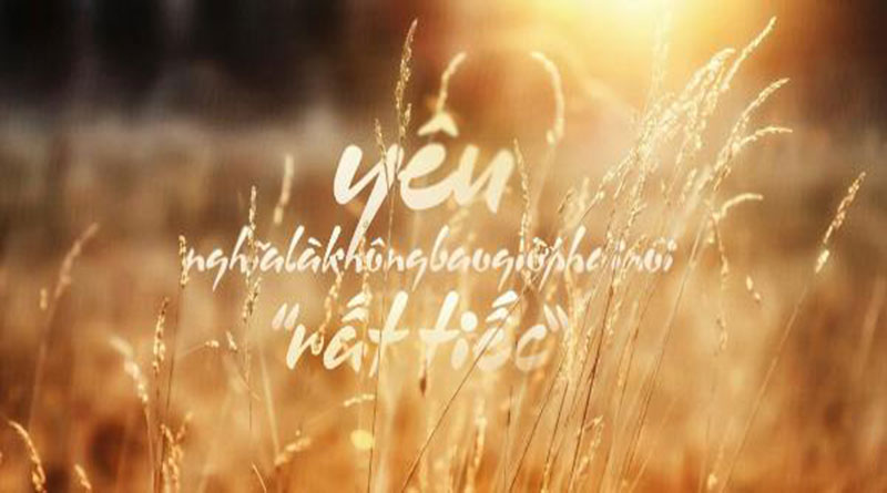 Hơn 100 hình ảnh quotes tinh tế và đẹp nhất