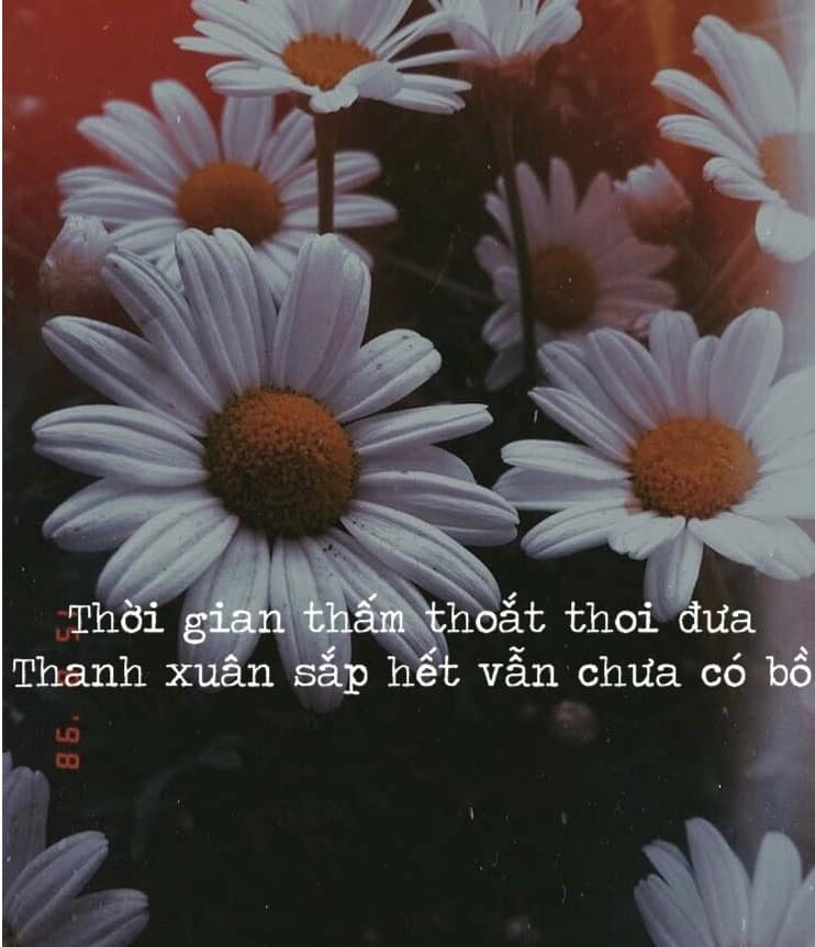 Hơn 100 hình ảnh quotes tinh tế và đẹp nhất