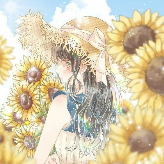 Anime hoa hướng dương đẹp nhất