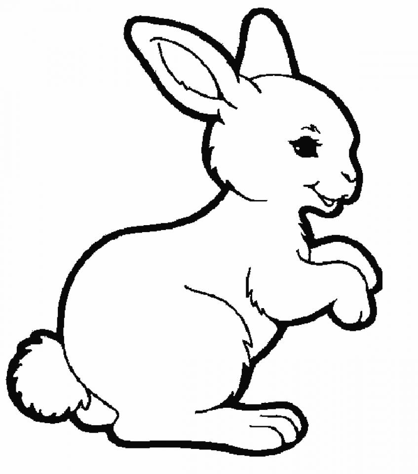 Tranh Tô Màu Thỏ 50+ Trang PDF Siêu Đẹp, Cute Dành Cho Bé - Piggy's Pastel  Drawing