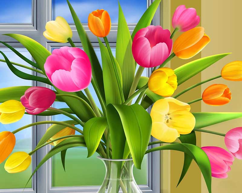 Tuyển chọn 400 hình nền đẹp hoa tulip với nhiều màu sắc tươi sáng