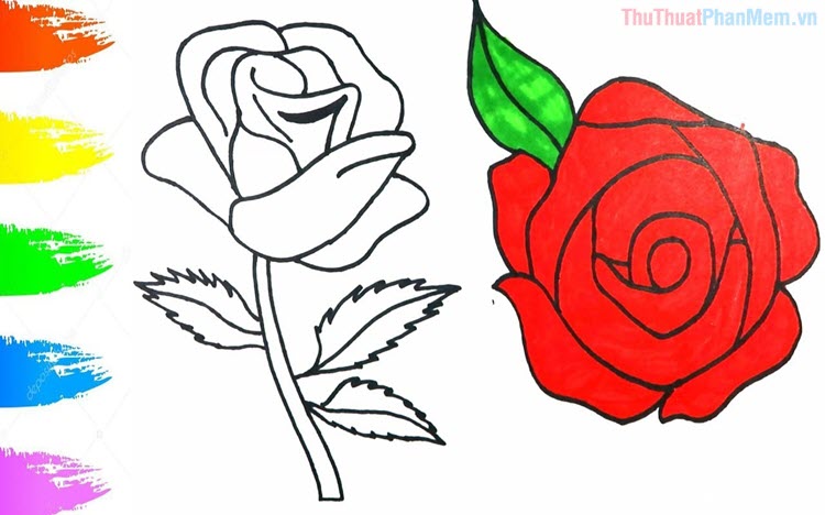 tranh tô màu bông hoa hồng | Trang tô màu hoa, Mẫu hoa, Hình ảnh