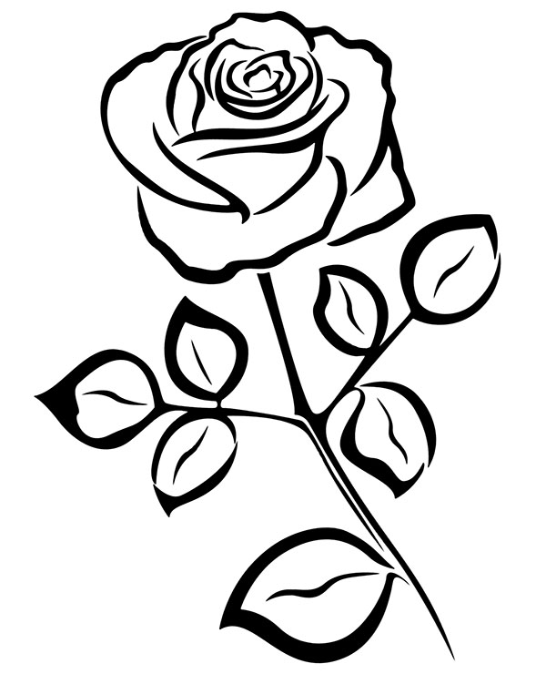Hướng dẫn cách vẽ hoa hồng đẹp đơn giản với 10 bước ai cũng thực hiện được