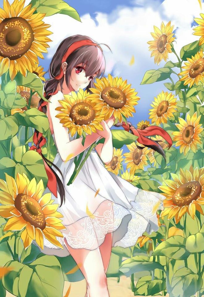 Ảnh Anime Đẹp 』 - #151 : Hoa hướng dương | Hình vẽ anime, Cô gái trong anime,  Anime