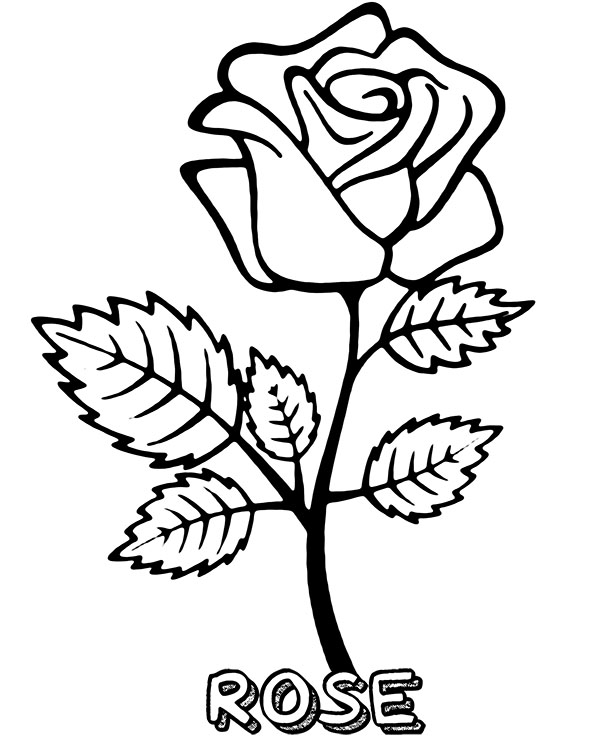 Ilustración de Ilustración Hermosa Planta Con Flores y más Vectores Libres  de Derechos de Borde - Borde, Brote, Enredadera - iStock