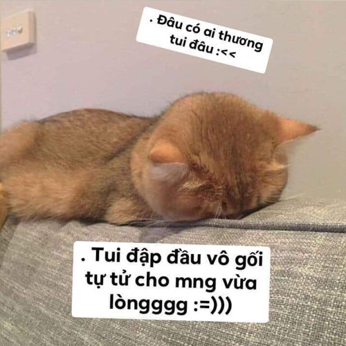 Bộ sưu tập Meme dỗi hài hước, dễ thương và đáng yêu