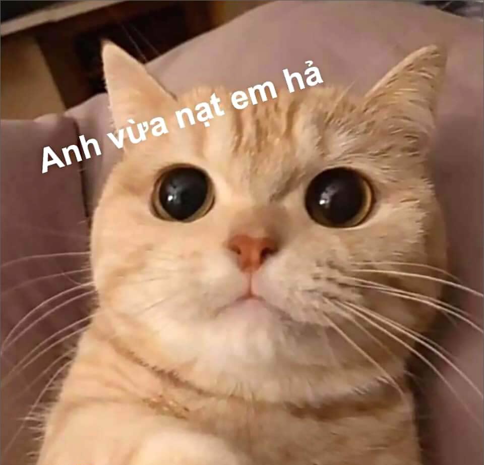 Bộ sưu tập Meme dỗi hài hước, dễ thương và đáng yêu