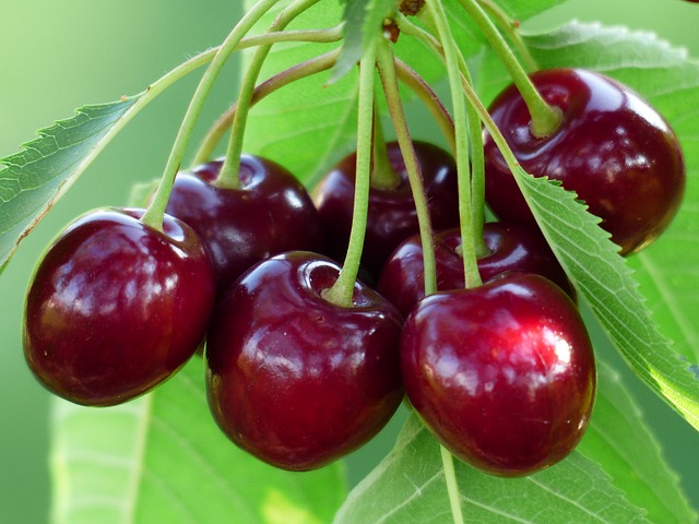Bộ sưu tập hình ảnh đẹp nhất về quả Cherry