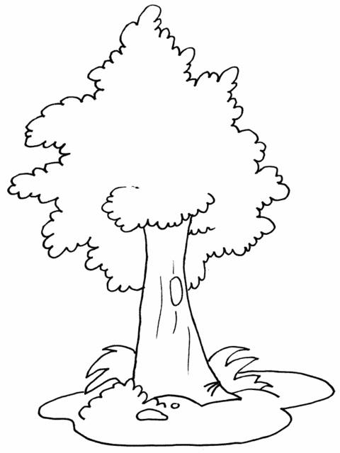 Cách vẽ cây- cách tô mầu cây bằng mầu sáp - How to draw a tree. #Ve  #smileart - YouTube