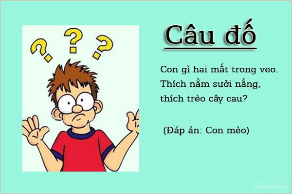 Những câu đố thú vị, đố vui, đố mẹo