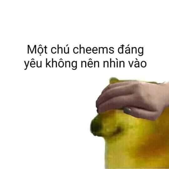 Duyệt ngay bộ 100+ meme Cheems hài hước