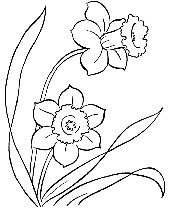 Tô màu Bông Hoa 6 Cánh Xinh Xắn - Trang Tô Màu Cho Bé