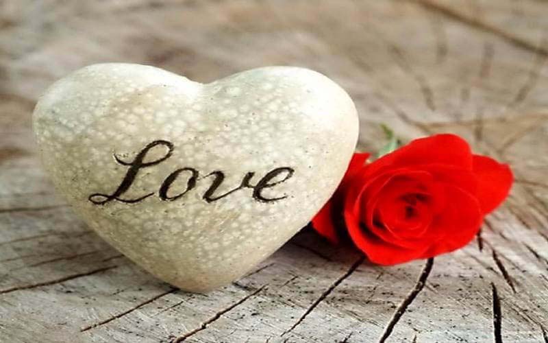 Bức tranh tuyệt vời về Tình Yêu