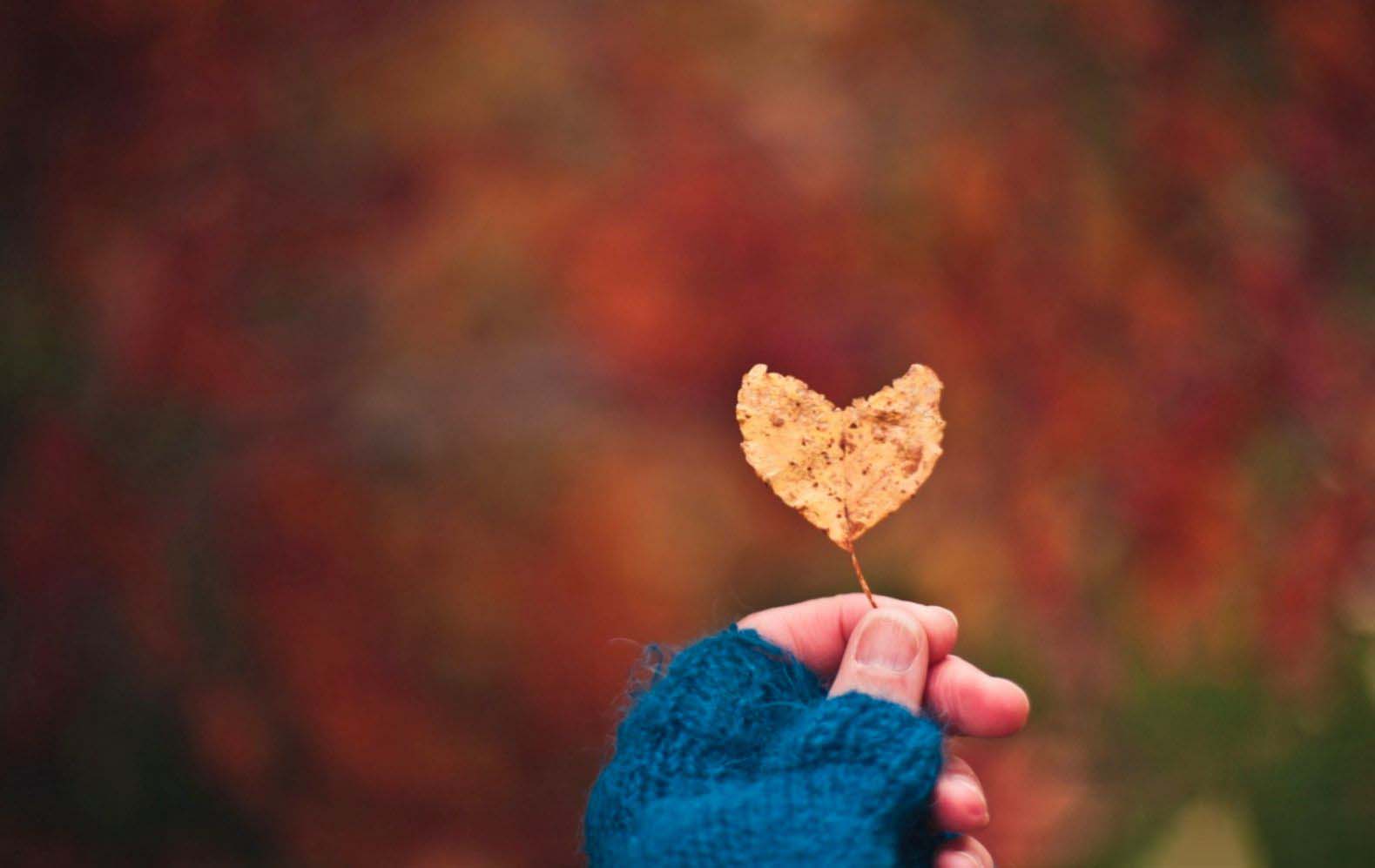 Bức tranh tuyệt vời về Tình Yêu