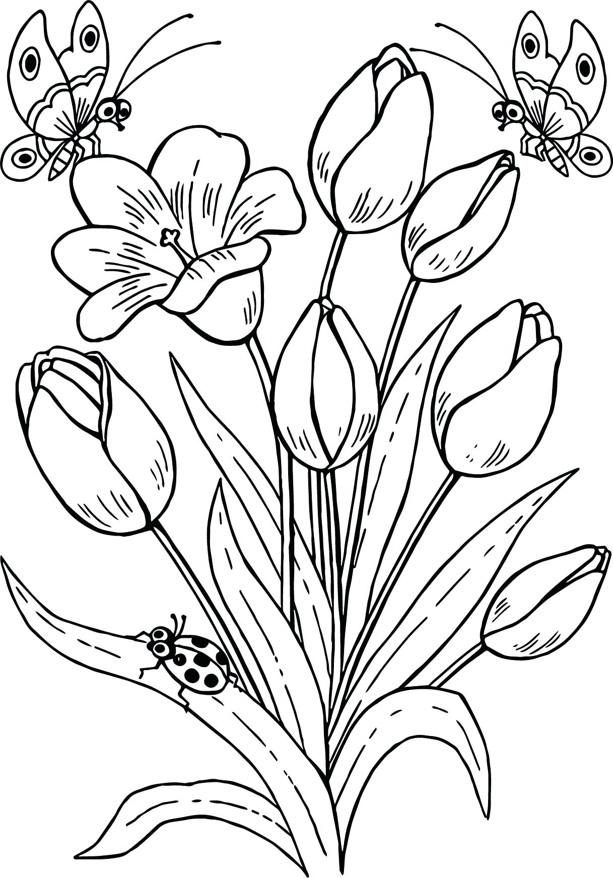 Hình ảnh Vẽ Tranh Tô Màu Bông Hoa Mùa Xuân Cho Bé Vectơ PNG , Vẽ Hoa, Vẽ  Cánh, Vẽ Chiếc Nhẫn PNG và Vector với nền trong suốt để tải xuống